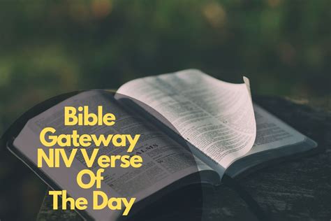 bible gateway|bible gateway today's verse.